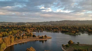 Лечение птичьим щебетом: Пение птиц в парке. Гармонизация психики и всех систем организма