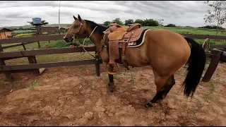 Go Pro - Calf Roping (full practice)