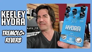 3 TYPES OF TREMOLO AND REVERB, ONE PEDAL - KEELEY HYDRA