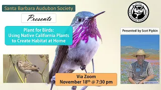 Plant for Birds: Using Native California Plants to Create Habitat at Home