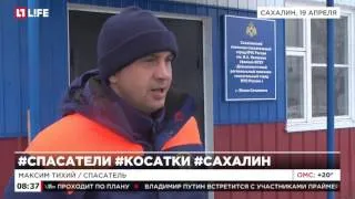 На Сахалине спасена четвёртая косатка, попавшая в ледовый плен