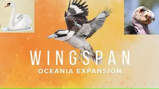 Wingspan Oceania - Knack Attack