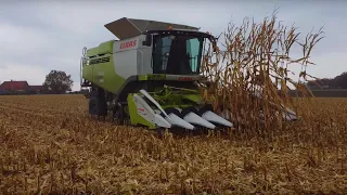 Körnermais mit Claas Lexion 660 TT + Claas Corio 875 FC I 4k