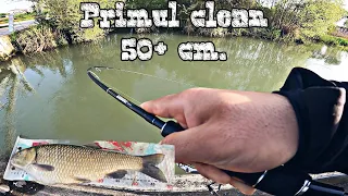 🎣 Am prins clean dupa clean la rotativa + un clean record de 50 cm 🎣 spinning la clean la rotative🎣