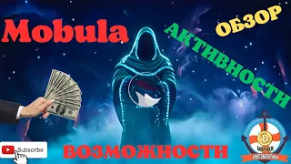 Mobula!Обзор!Активности!Возможности