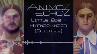 Little Big - Hypnodancer (Animoz Echoz Bootleg)