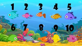 Slippery Fish | Down By The Bay | Number Song And Many More Nursery Rhymes | By Lil Animation