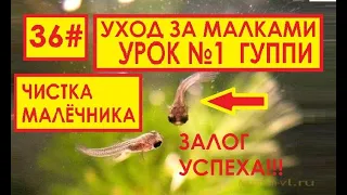 УХОД ЗА МАЛЬКАМИ УРОК №1 ЧИСТКА МАЛЁЧНИКА !!!