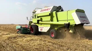 Claas Dominator 106 Árpa aratás 2023