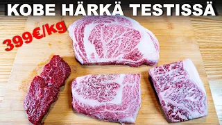 Maailman Kalleinta (399€/kg) Lihaa - Miltä Maistuu KOBE HÄRKÄ?
