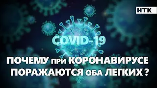 Почему поражаются оба легких при коронавирусе ?