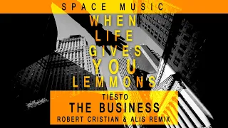 Tiësto - The Business (Robert Cristian & ALIS Remix) SPACE MUSIC | The Wolf of Wall Street