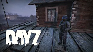 История - DayZ Standalone