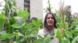 Huerto Tlatelolco, un oasis en la CDMX