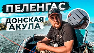 ДОНСКОЙ ПЕЛЕНГАС РЫБАЛКА С ЛОДКИ НА ДОНУ СИЛЬНЕЙШАЯ РЫБА