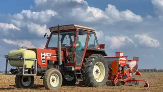 Fiatagri 70-88 + Gaspardo 4 file + botte trattamento anteriore -feat Candelo farm-