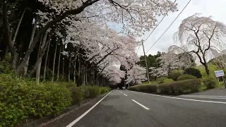 大石寺