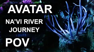 Na'Vi River Journey Queue POV and FULL RIDE - Pandora World of Avatar at Disney World