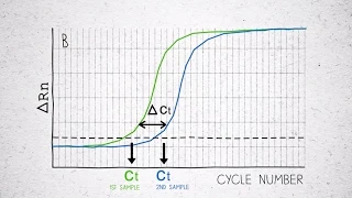 Understanding Reverse Transcriptase – Effects on Ct value