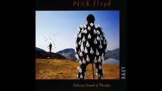 Pink Floyd - Sorrow (Live)