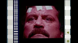 Spasms (1983) (bad colors), 35mm film trailer, flat open matte 2520x2160 1.17:1 ratio, 4K trichromy