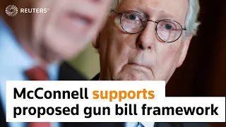 McConnell supports proposed gun bill framework