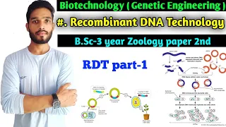 Recombinant DNA Technology || Denaturation and renaturation of DNA || Gene cloning || B.Sc 3 year