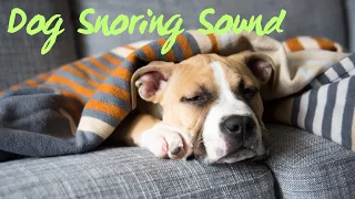 Dog Snoring Sound Effect | Dogs Snore