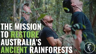 Our Mission To Restore Australia's Ancient Rainforests