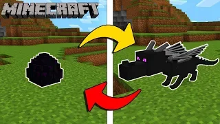 14 COSE CHE NON SAI SU MINECRAFT, TI SFIDO!!