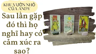 Chọn 1 tụ bài Tarot - Sau lần gặp đó thì họ có suy nghĩ hoặc cảm xúc ra sao? - Alo Andy