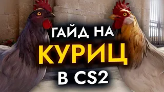 Гайд на КУРИЦ в CS2