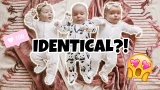 Are the TRIPLETS Identical or Fraternal?! DNA Results Confirmed!