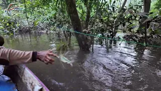 gak bakal habis cerita kalau pancing putus ditarik ikan kayak gini, pasti dibilang monster yg makan