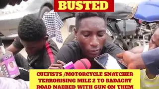 Cultists / motorcycle snatcher terrorising mile 2 to badagry nabbed with guns on them