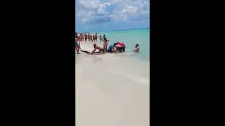Full video of men releasing a large shark caught off Panama City Beach, Florida.