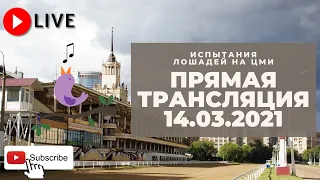 14.03.2021. Прямая трансляция с ЦМИ. Встречаем весну.