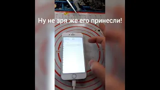 Ремонт iPhone 7. Не включается WiFi