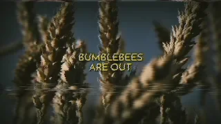 Jack Stauber - Bumblebees Are Out (sub español/lyrics)