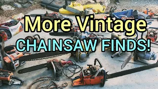 Another Vintage Chainsaw Mother load Found! Old Chainsaws - Stihl, Husqvarna, Homelite and Mcculloch