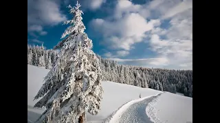 Христианская песня.  Новый Год