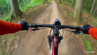 Specialized Once upone a time in the Bukowa Forest ;)