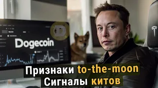 Обзор Dogecoin: Цена, памп, когда потенциальный рост