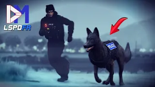DOUBLE PURSUIT for Police Dog Unit! | GTA 5 British Police Mod - LSPDFR UK
