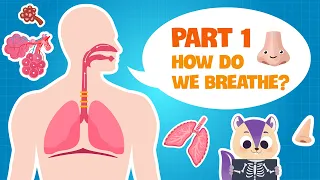 Biology | Secret of our Respiratory System (PART 1) | How do the Lungs work? | Science for kids
