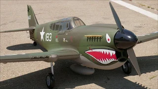PatFlyingMan's CMP 140 Size P-40 Warhawk