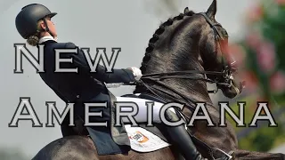 New Americana || Dressage Music Video ||