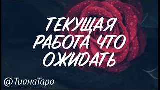 Моя текущая РАБОТА! Начальник, коллектив, финансы? Что ожидать 🔮Гадание на Таро он-лайн