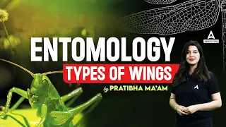 Types Of Wings | Entomology | Short Concepts of Entomology | By Pratibha Mam
