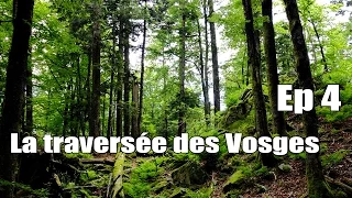 La traversée des Vosges -  Ep 4